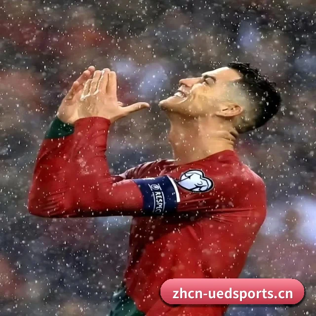 国际化进程 - 业务范围覆盖中国大陆、香港、台湾、东南亚、北美等地区。